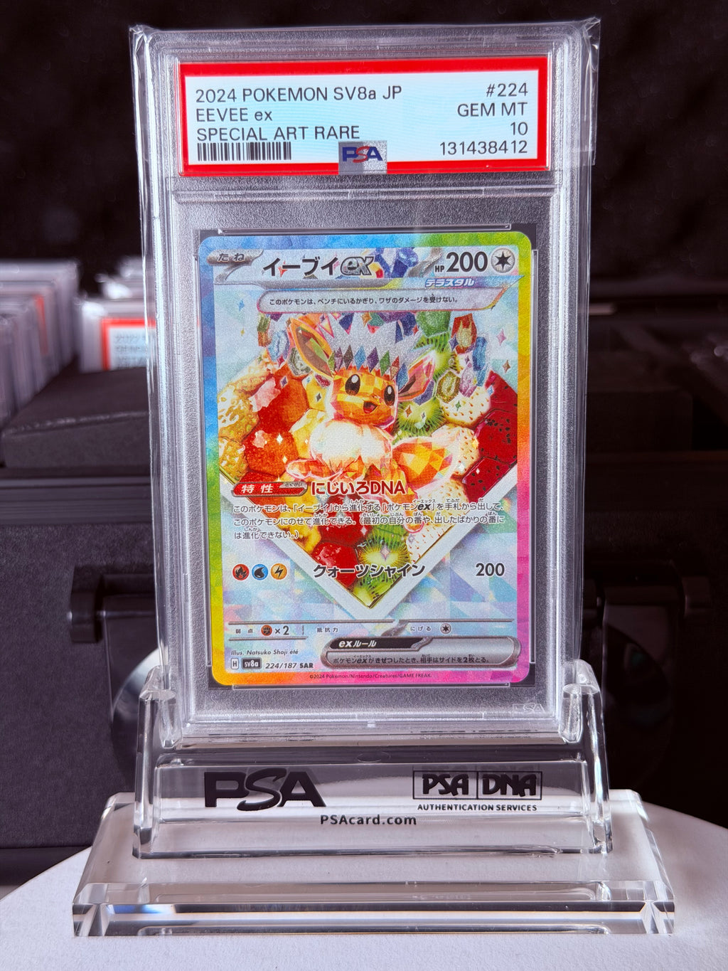 PSA 10 Pokemon Card Terastal Festival ex Eevee Evolution SAR 10 Set Japanese