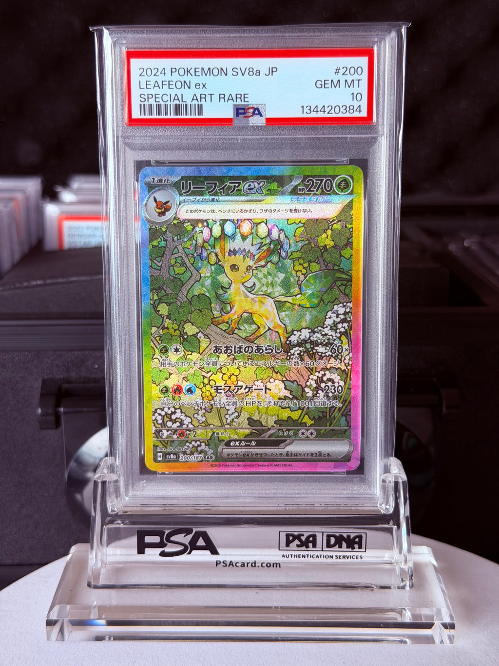 PSA 10 Pokemon Card Terastal Festival ex Eevee Evolution SAR 10 Set Japanese